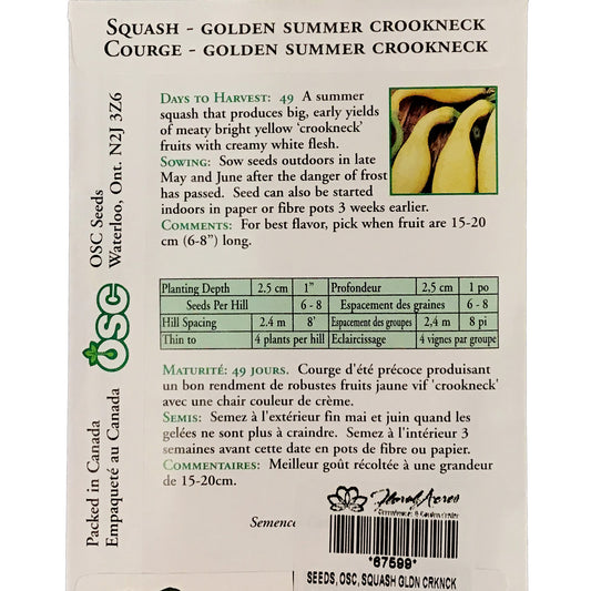 Squash - Golden Summer Crookneck Seeds, OSC