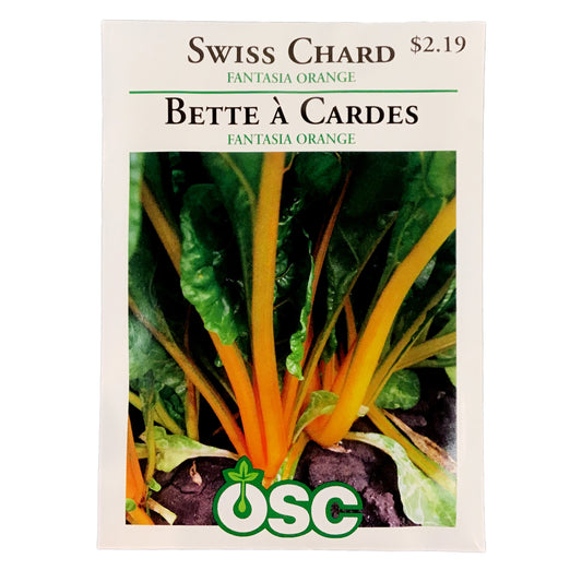 Swiss Chard - Fantasia Orange Seeds, OSC