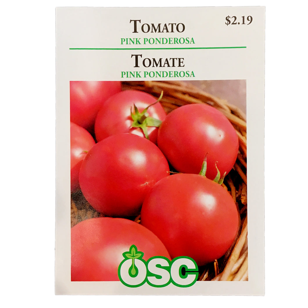 Tomato - Pink Ponderosa Seeds, OSC