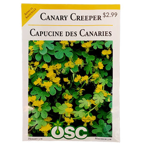 Canary Creeper Nasturtium Seeds, OSC