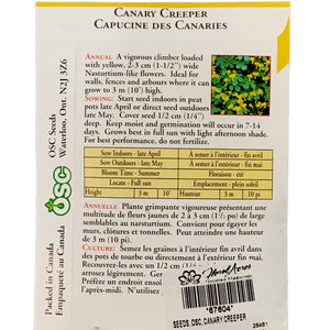 Canary Creeper Nasturtium Seeds, OSC