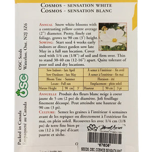 Cosmos - Sensation White Seeds, OSC