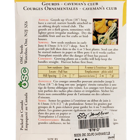 Gourd - Caveman's Club Seeds, OSC
