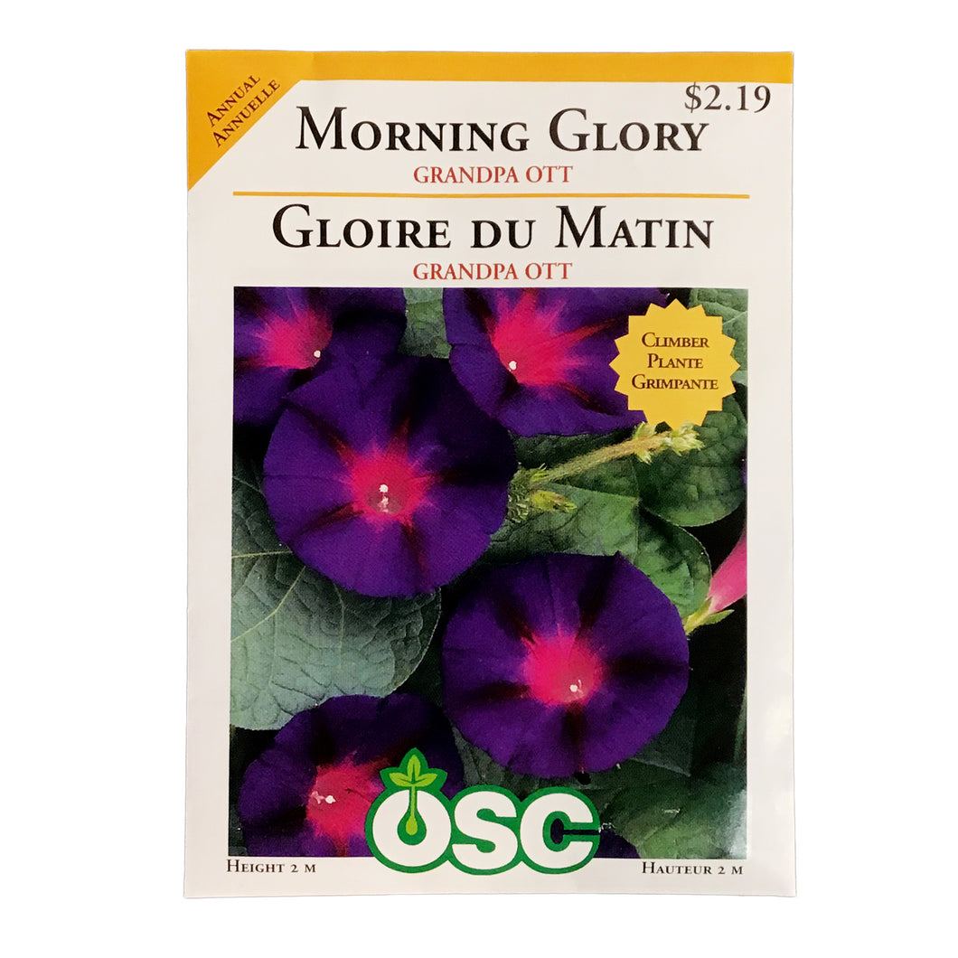 Morning Glory - Grandpa Ott Seeds, OSC