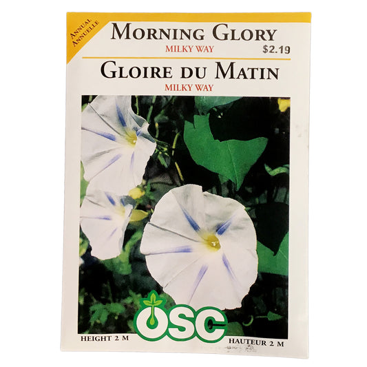 Morning Glory - Milky Way Seeds, OSC