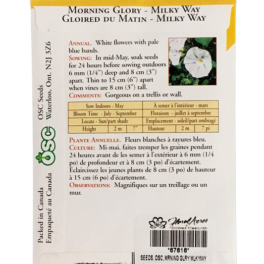 Morning Glory - Milky Way Seeds, OSC