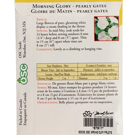 Morning Glory - Pearly Gates Seeds, OSC