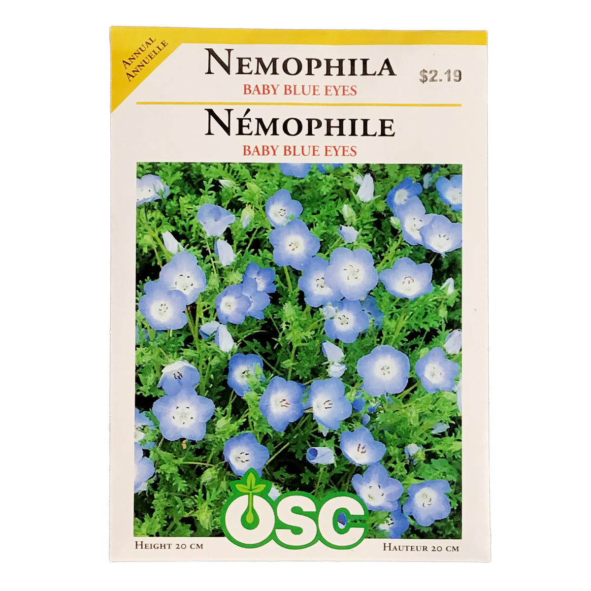 Nemophila - Baby Blue Eyes Seeds, OSC