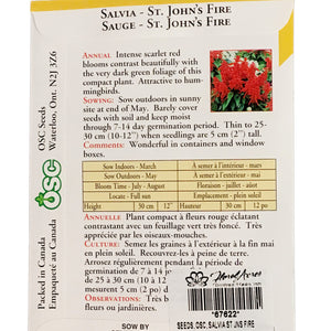 Salvia - St. John's Fire Seeds, OSC