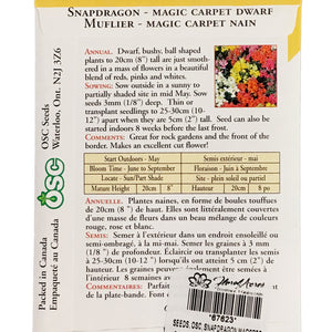 Snapdragon - Magic Carpet Dwarf Seeds, OSC