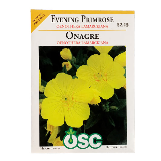 Evening Primrose Seeds, OSC