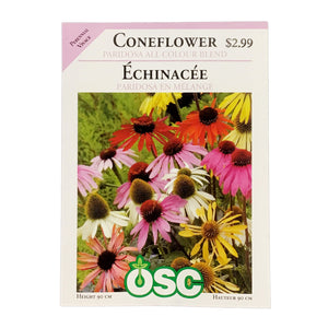 Echinacea - Paridosa All Colour Blend Seeds, OSC