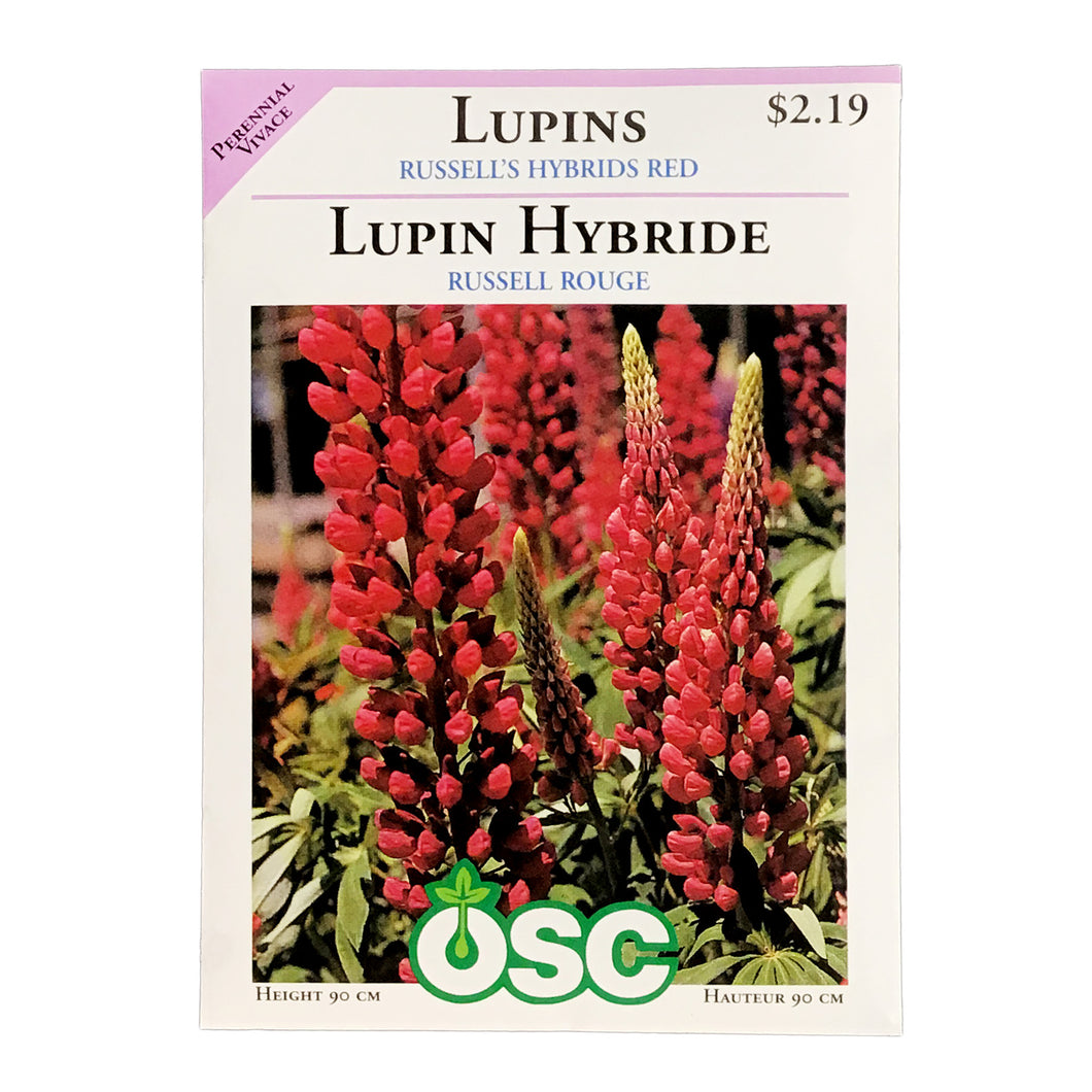 Lupin - Russels Hybrids Red Seeds, OSC