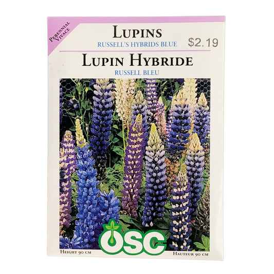 Lupin - Russels Hybrids Blue Seeds, OSC