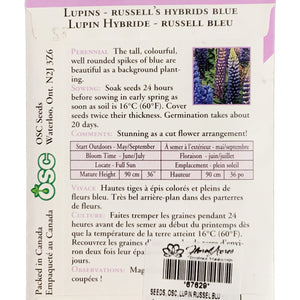 Lupin - Russels Hybrids Blue Seeds, OSC