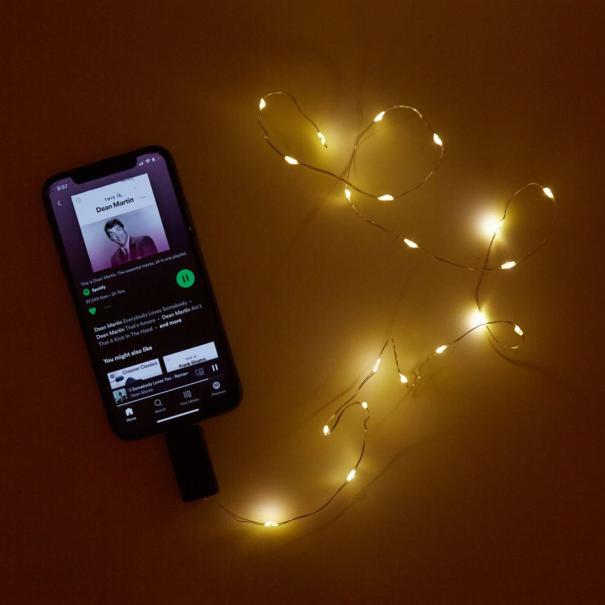 Sound Activated String Light, 47in