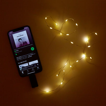 Sound Activated String Light, 47in
