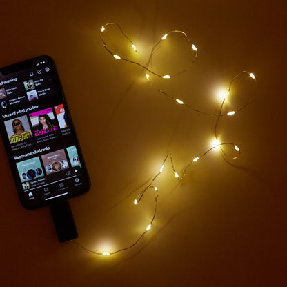 Sound Activated String Light, 47in