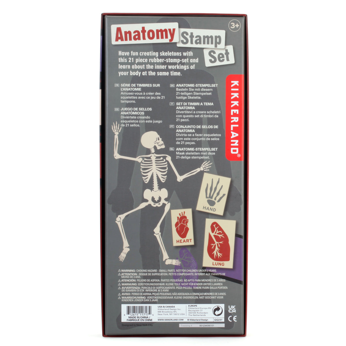Anatomy Stamps Set