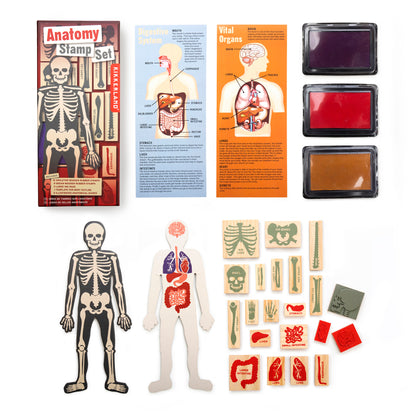 Anatomy Stamps Set