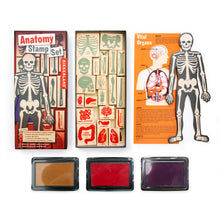 Load image into Gallery viewer, Anatomy Stamps Set

