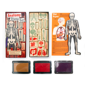 Anatomy Stamps Set