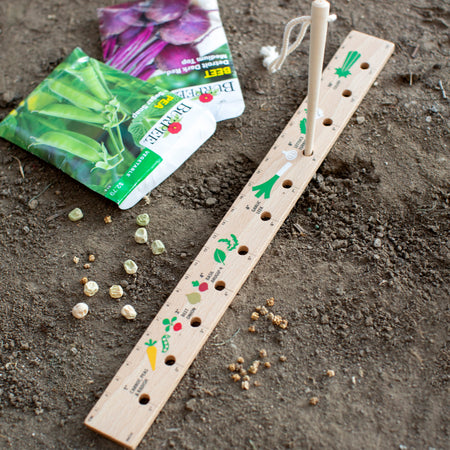 Seeding Ruler & Dibber