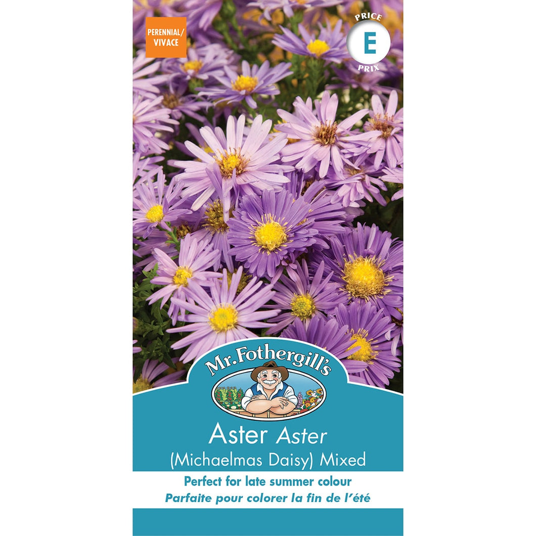 Aster - Mixed Seeds, Mr Fothergill's