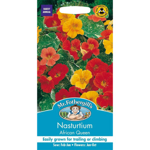 Nasturtium - African Queen Seeds, Mr Fothergill's