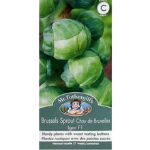 Load image into Gallery viewer, Brussels Sprout - Igor Seeds, Mr Fothergill&#39;s

