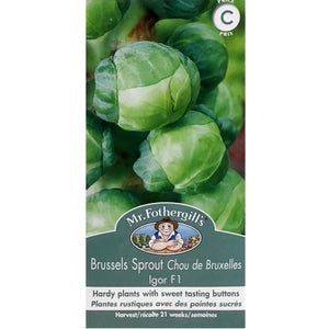 Brussels Sprout - Igor Seeds, Mr Fothergill's