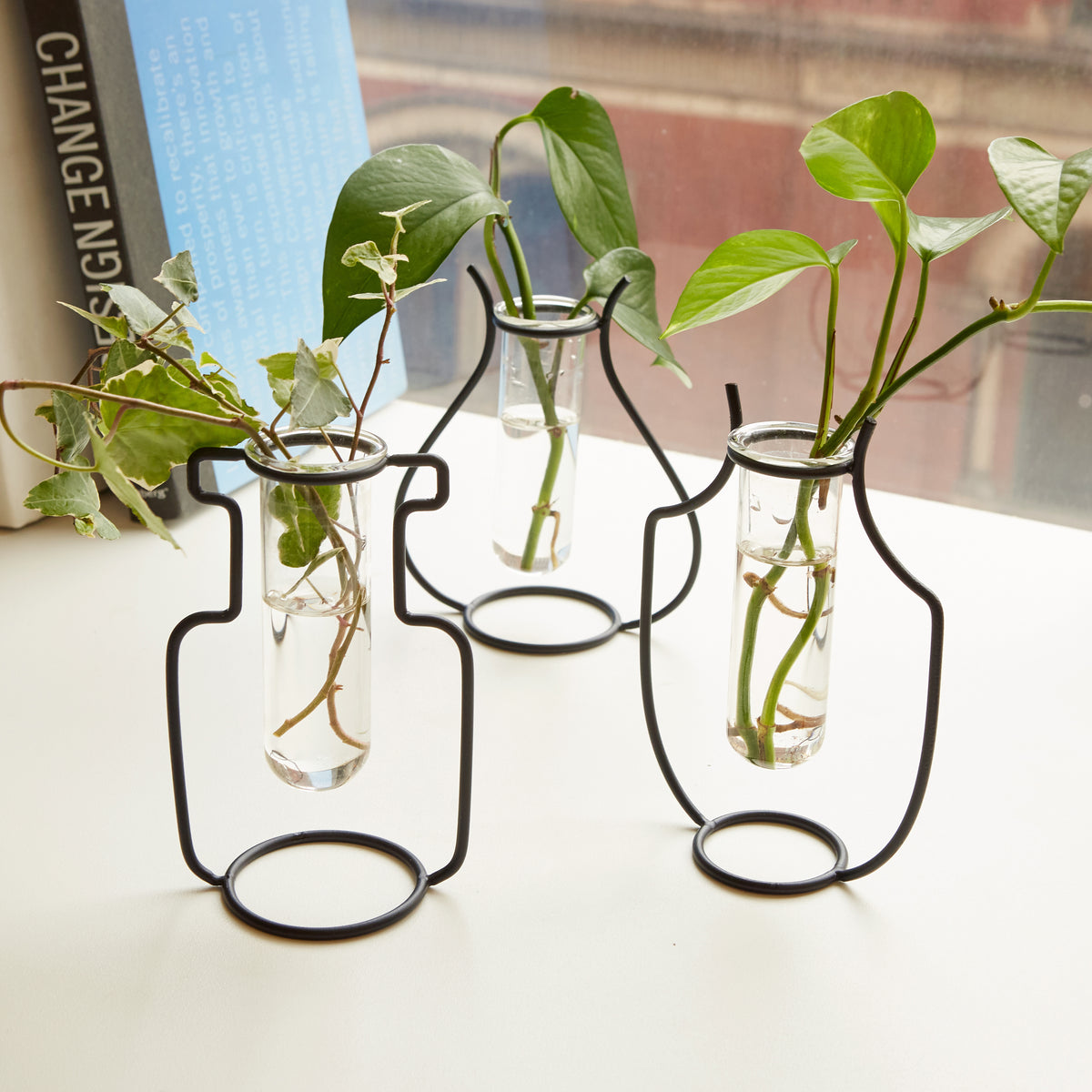 Geo Vase Propagation Station, 3 Styles