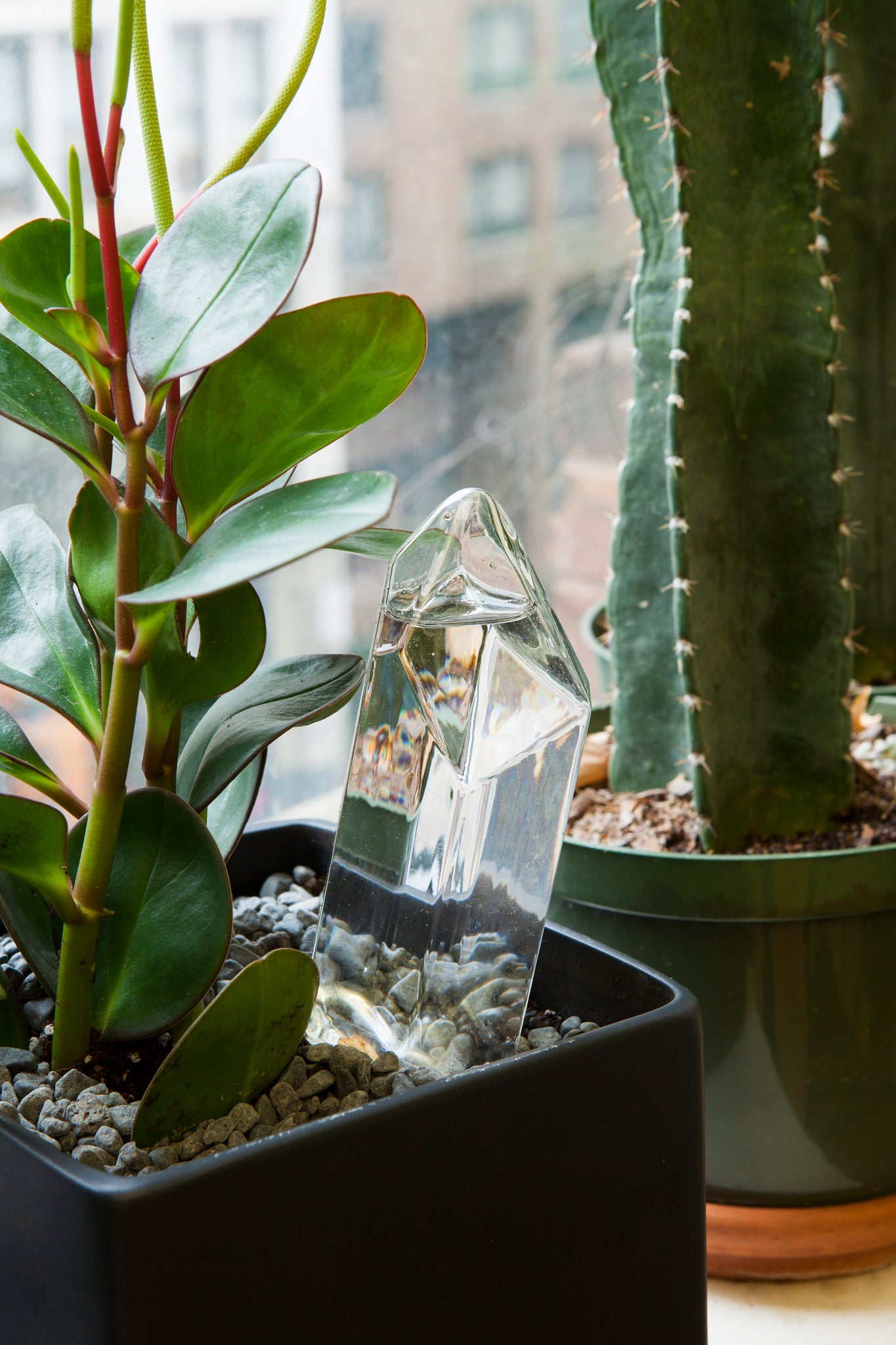 crystal shaped self-watering plant globe Water From a Crystal Watering Globe – Floral Acres Greenhouse & Garden Centre