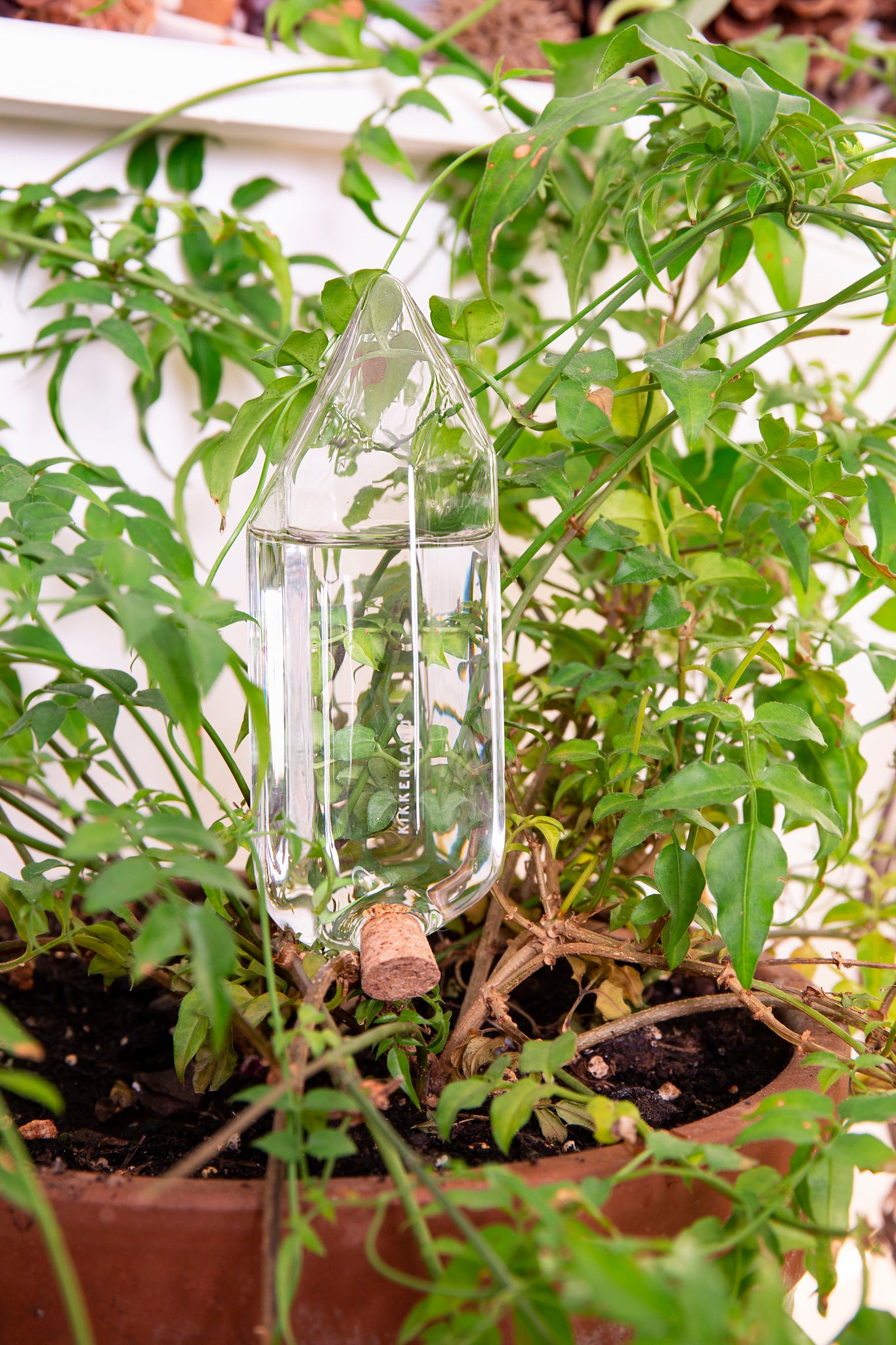 crystal shaped self-watering plant globe Water From a Crystal Watering Globe – Floral Acres Greenhouse & Garden Centre