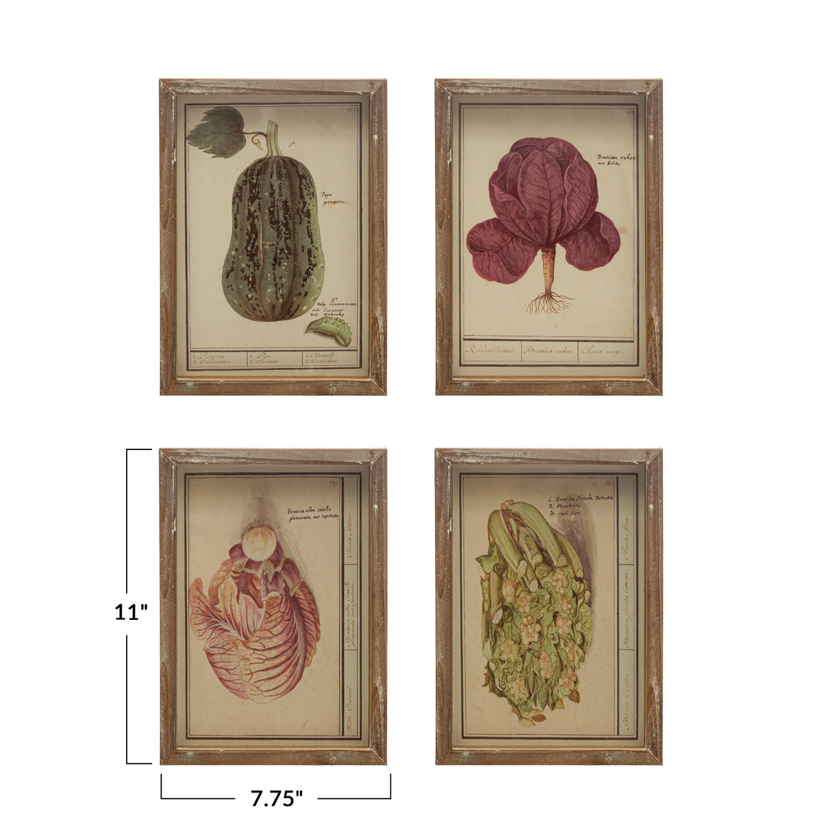 Framed Vintage Vegetable Print Wall Art, 4 Styles