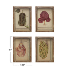 Load image into Gallery viewer, Framed Vintage Vegetable Print Wall Art, 4 Styles
