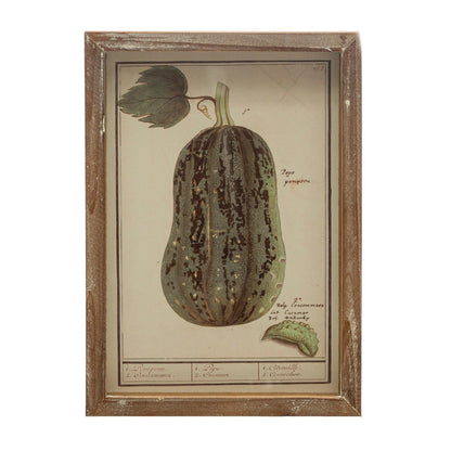 Framed Vintage Vegetable Print Wall Art, 4 Styles