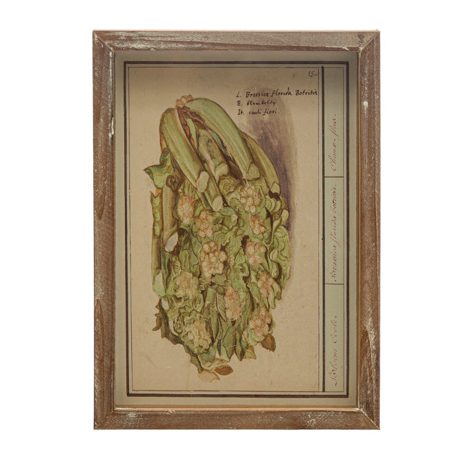 Framed Vintage Vegetable Print Wall Art, 4 Styles