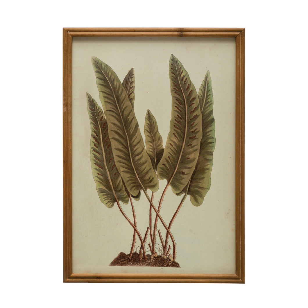 Framed Vintage Plant Print Wall Art