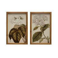 Framed Vintage Flower Print Wall Art, 2 Styles