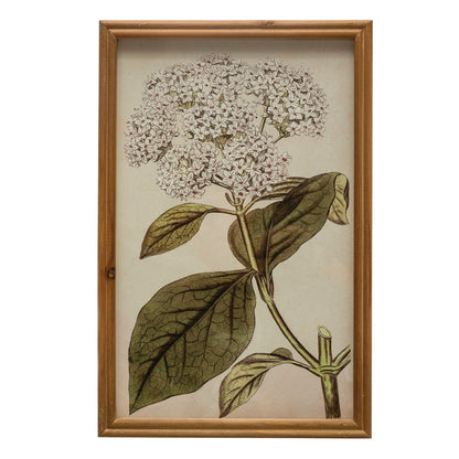 Framed Vintage Flower Print Wall Art, 2 Styles