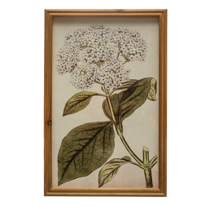 Framed Vintage Flower Print Wall Art, 2 Styles