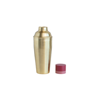 Steel & Resin Cocktail Shaker, Brass & Pink