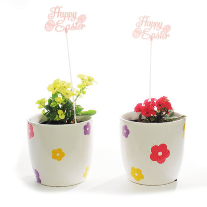 Euphorbia, 4in, Easter Ceramic Flower Pot, Asst.