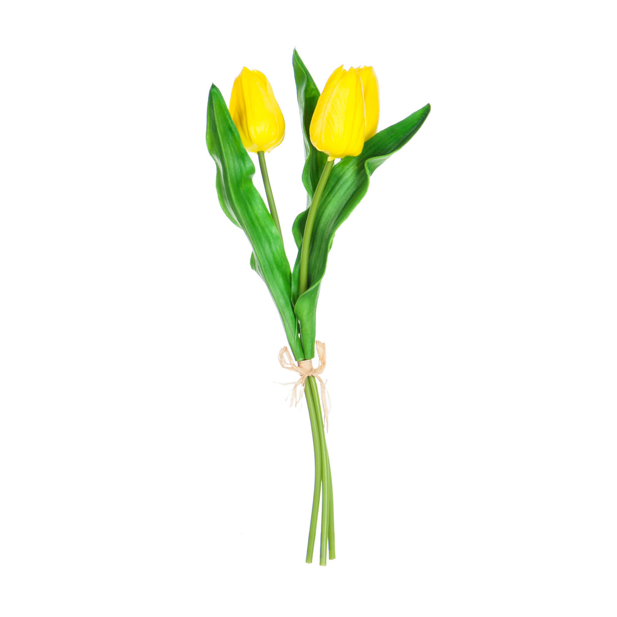 Decorative Tulip Stems, 3 Styles