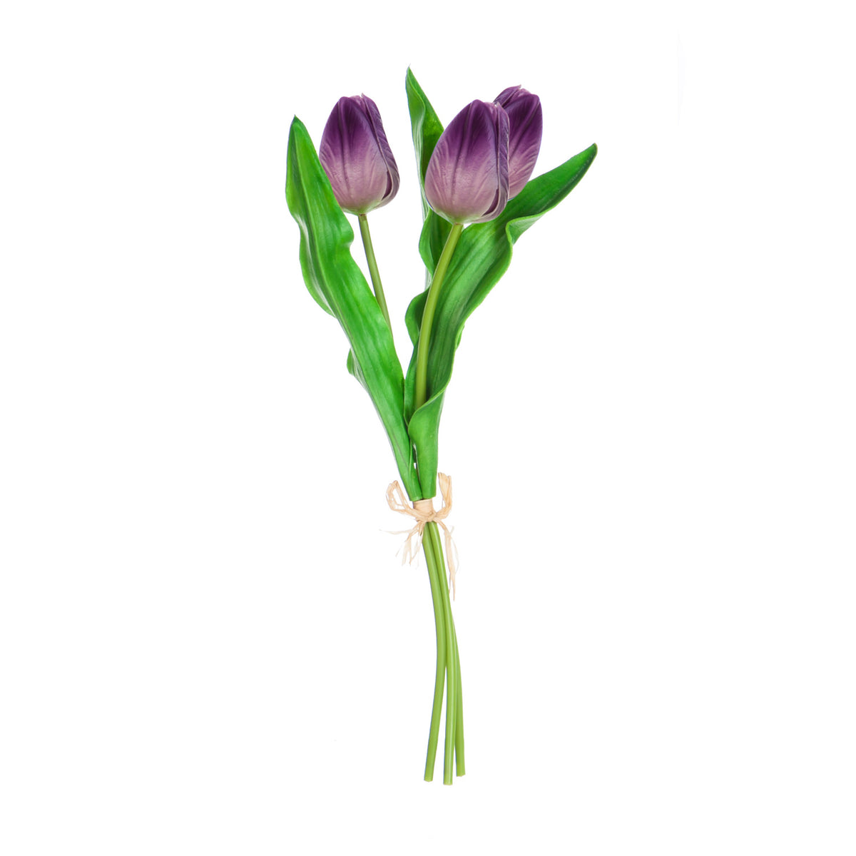 Decorative Tulip Stems, 3 Styles