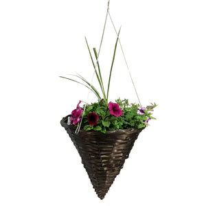 Hanging Basket, 14in, Cone Combo, Assorted