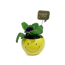 Load image into Gallery viewer, Teacher&#39;s Week Planter, 4in, Smile Pot w/ Pick
