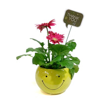 Load image into Gallery viewer, Teacher&#39;s Week Planter, 4in, Smile Pot w/ Pick
