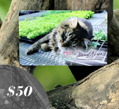 Physical Gift Card, $50.00 - Floral Acres Greenhouse & Garden Centre